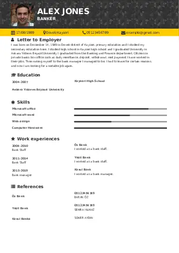 Banker resume example